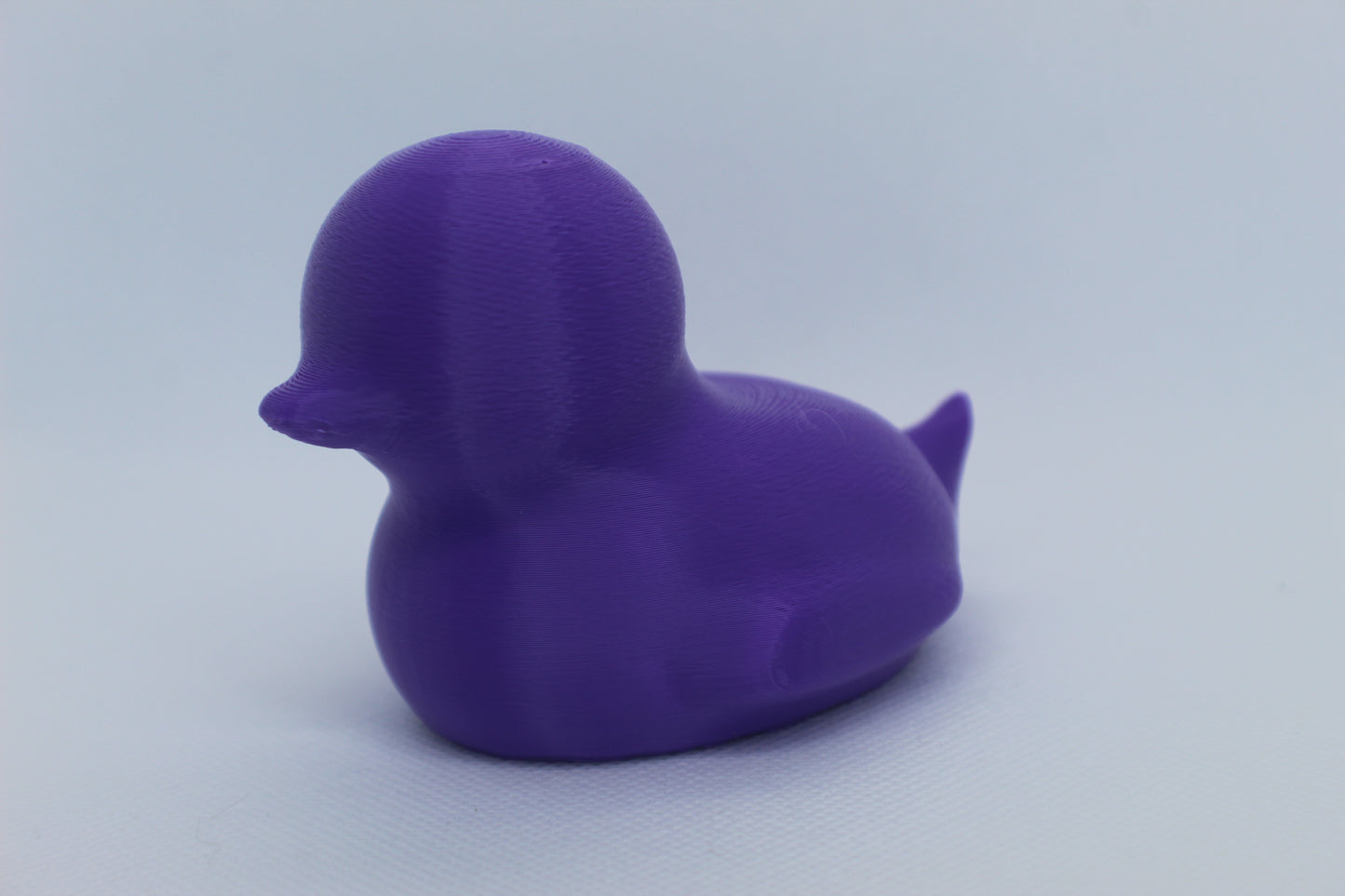 Purple Spriggy Duck