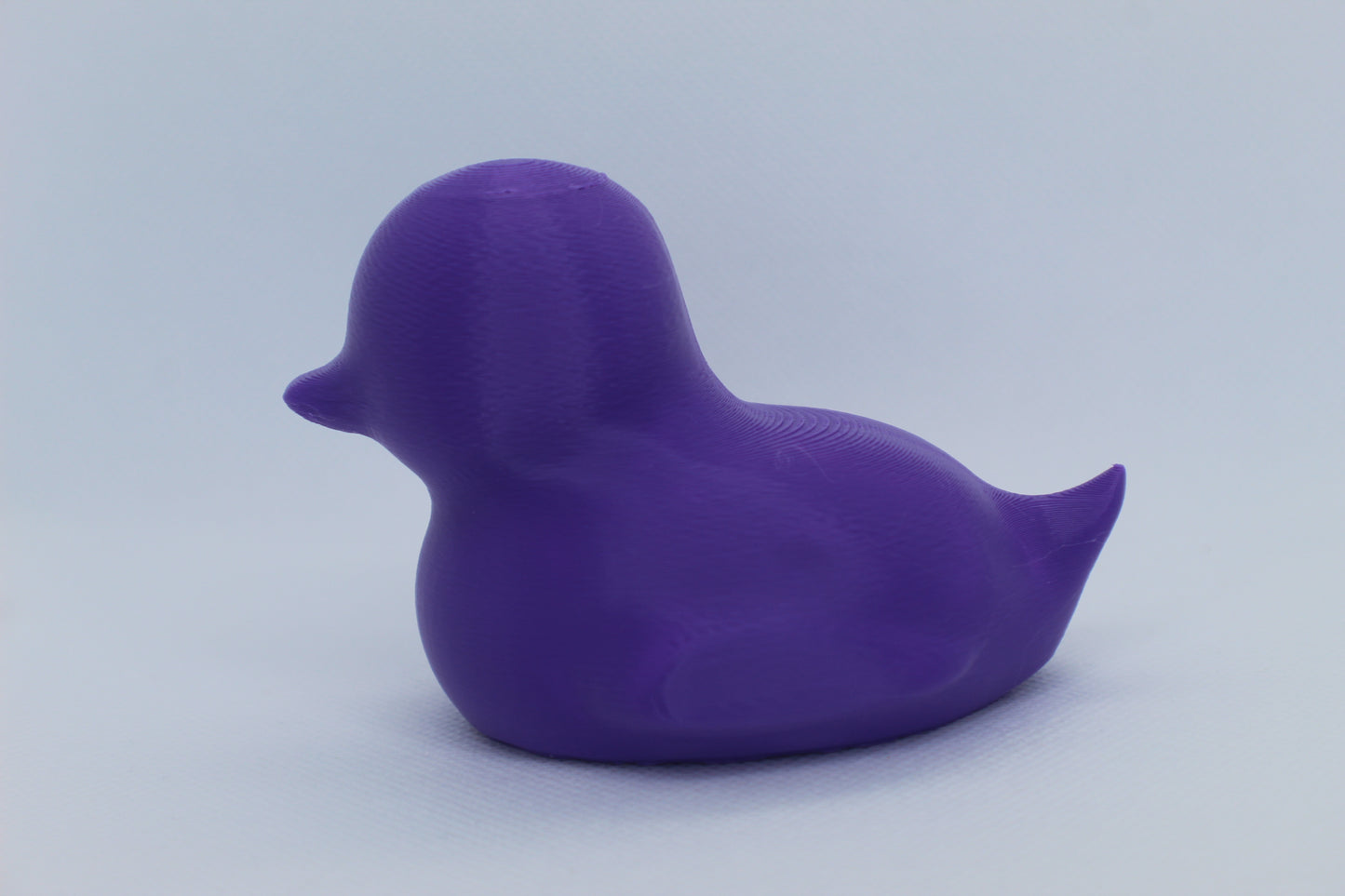 Purple Spriggy Duck