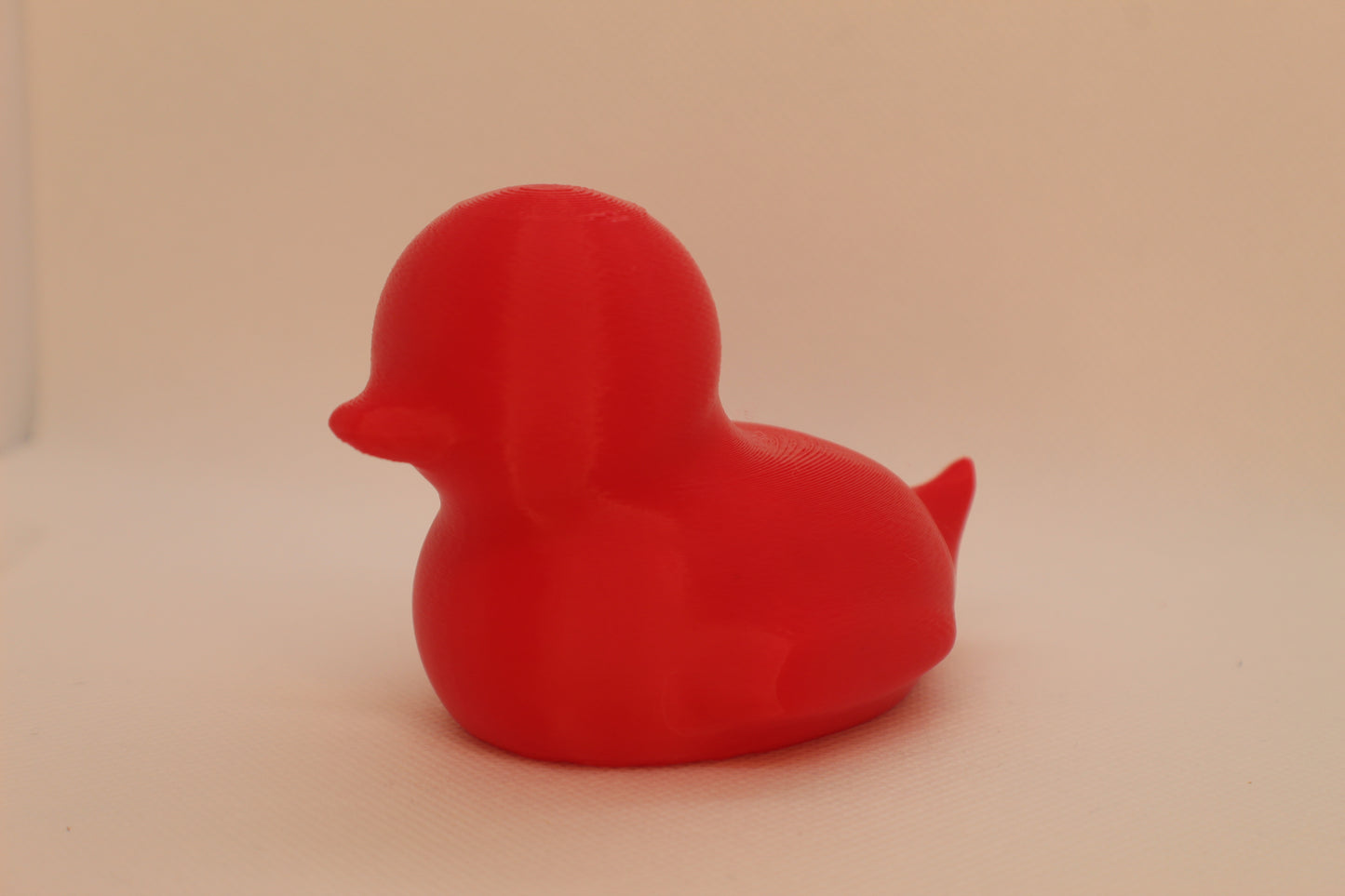 Red Spriggy Duck