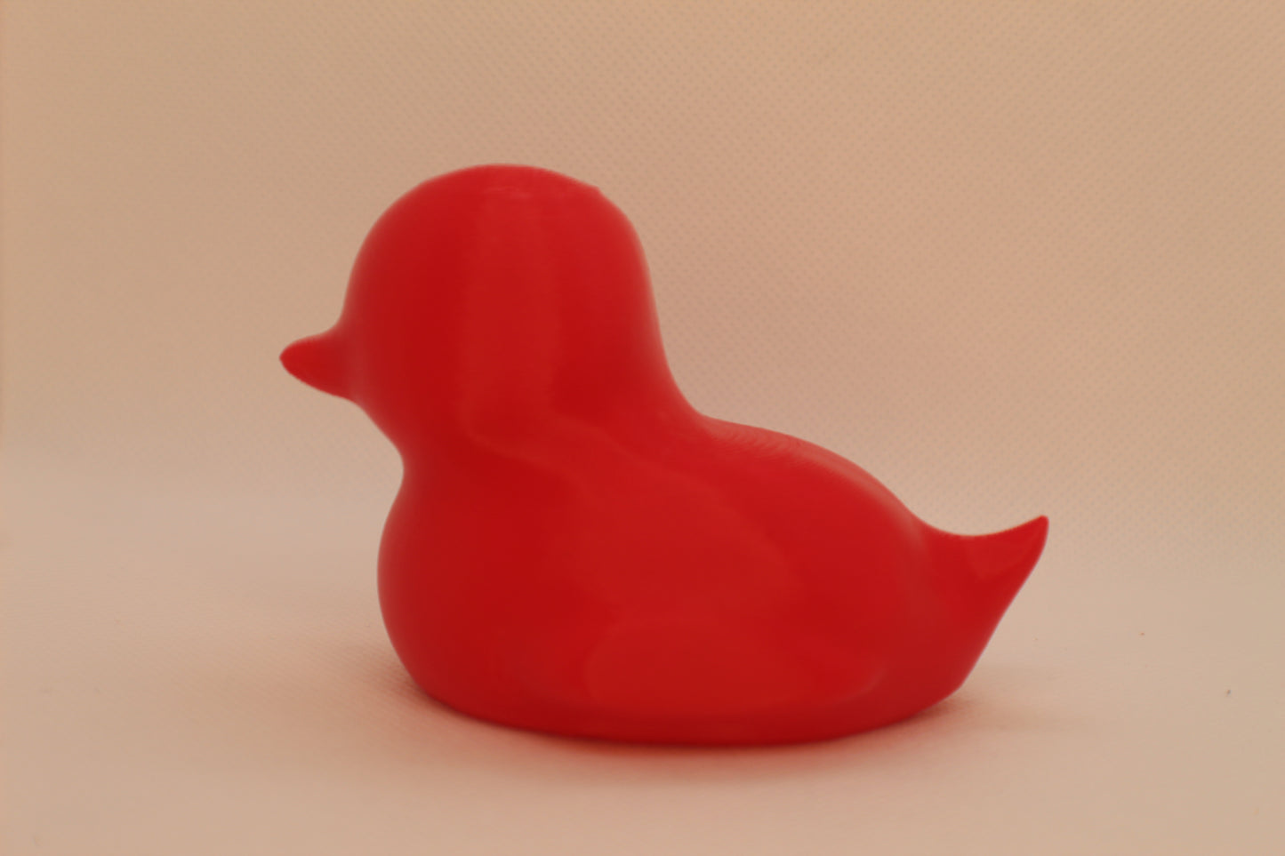 Red Spriggy Duck