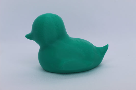 Teal Spriggy Duck